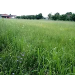 Summer's House בית הארחה