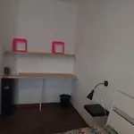 Summer's House