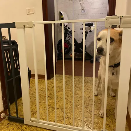 Summer's House Guest house 3*